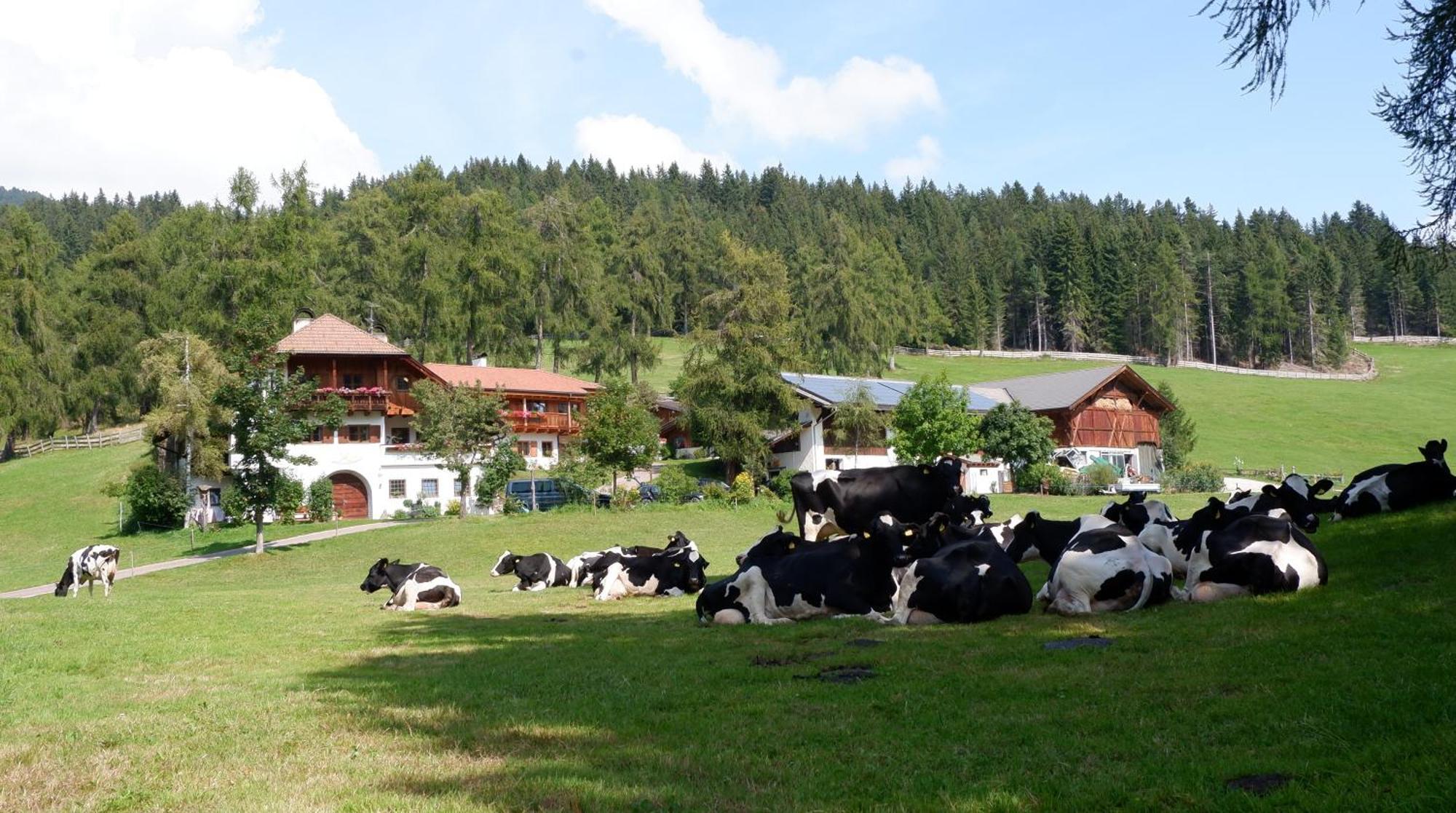 Laerchhof Villa Collalbo Exterior photo